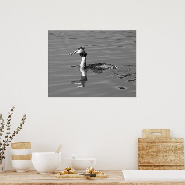 Great Crested Grebe Poster (Kitchen)