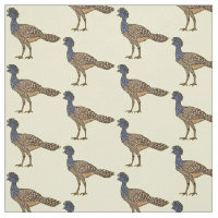 Great curassow bird cartoon illustration 