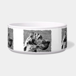 GREAT DANE