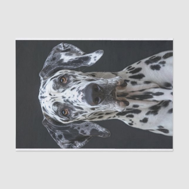 Great Dane1 Tissue Paper (Front)