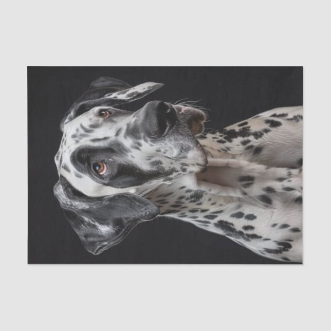 Great Dane2 Tissue Paper (Front)