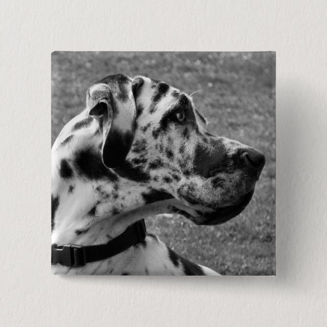 GREAT DANE 15 CM SQUARE BADGE (Front)
