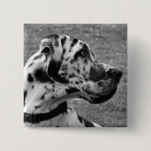 GREAT DANE 15 CM SQUARE BADGE