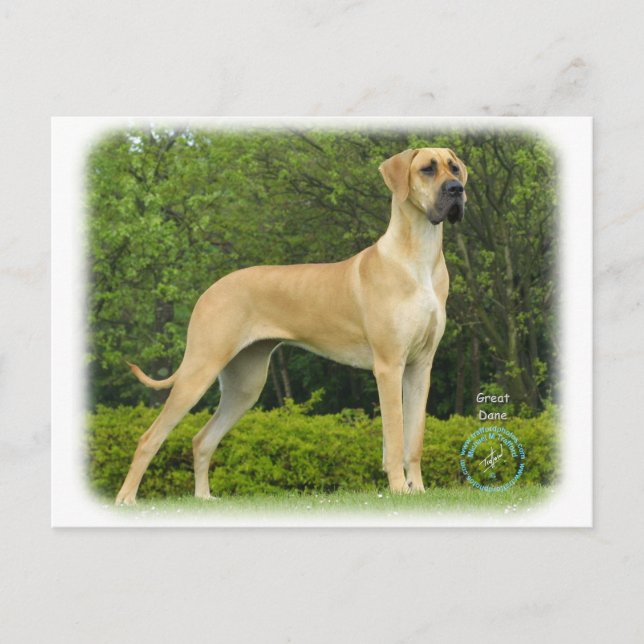 Great Dane 9T088D-027 Postcard (Front)