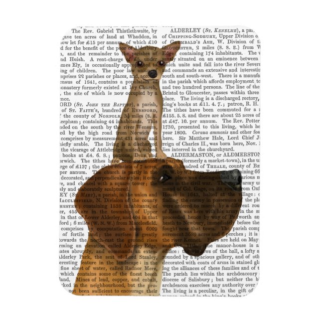 Great Dane and Chihuahua Magnet (Vertical)