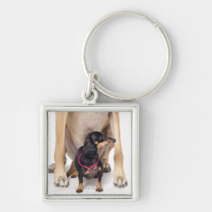 Great Dane and Dachshund portrait Key Ring