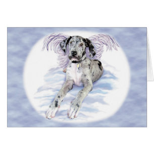 Great Dane Angel Merle UC