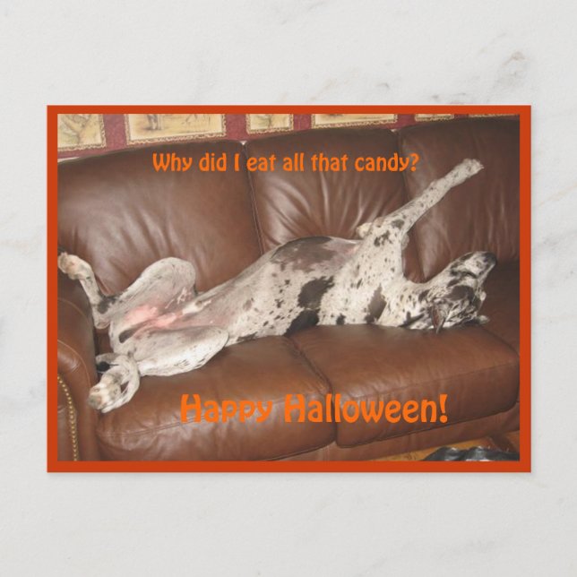 Great Dane Ate Too Much Halloween Candy Postcard (Front)
