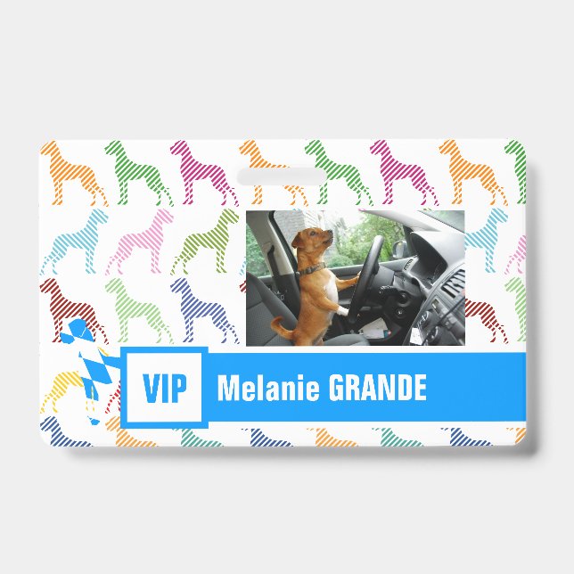 Great Dane Badge ID Badge (Front)