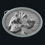 GREAT DANE BELT BUCKLES<br><div class="desc">A beautiful black and white photographic design of a Great Dane dog.</div>
