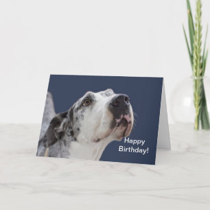 Great Dane Birthday Card