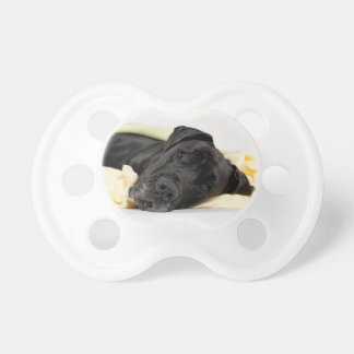 Great Dane - black / German Dogge - black Dummy