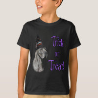 Great Dane (blue) Trick