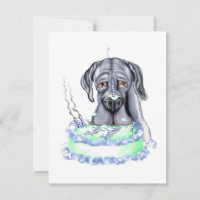 Great Dane Blue UC Birthday Cake Face