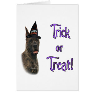 Great Dane (brindle) Trick