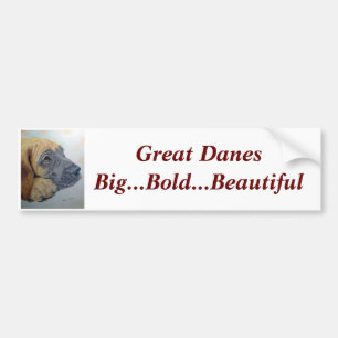 Great Dane Bumper Sticker