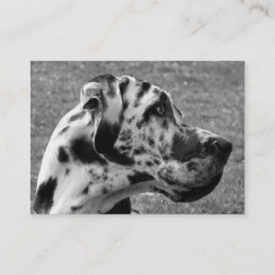 GREAT DANE BUSINESS CARD