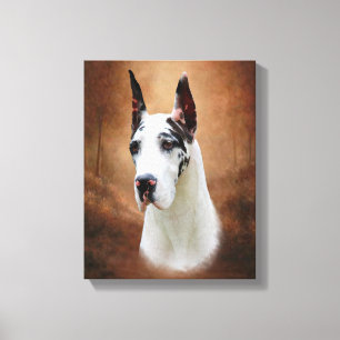 Great Dane Canvas Print