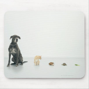 Great Dane, cat, guinea pig, tortoise and slug Mouse Pad