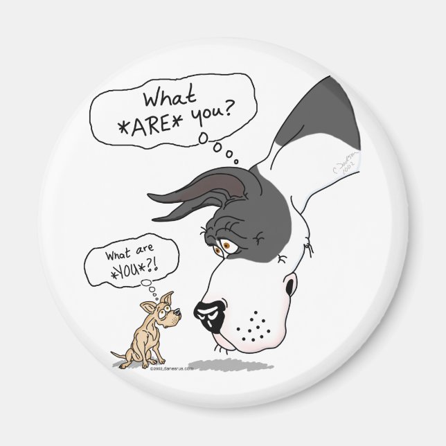 Great Dane & Chihuahua Mantle Magnet (Front)