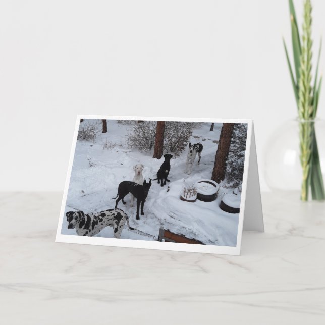 Great Dane Christmas Card (Front)