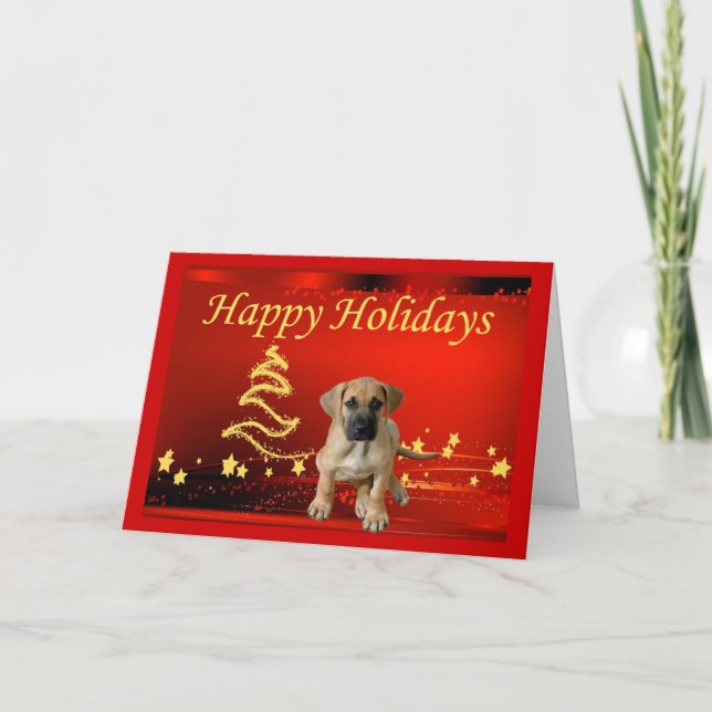 Great Dane Christmas Card Stars (Front)