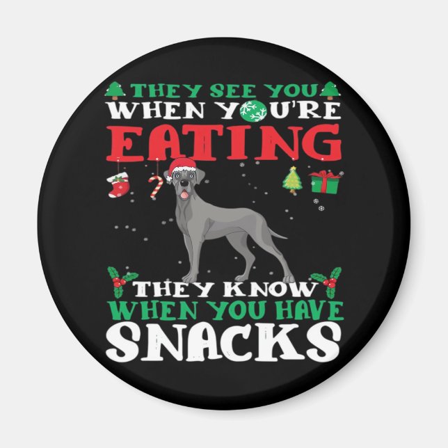 Great Dane Christmas fun Classic T-Shirt Magnet (Front)