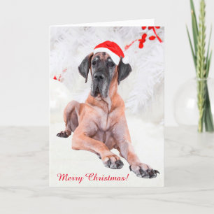 Great Dane Christmas Holiday Card