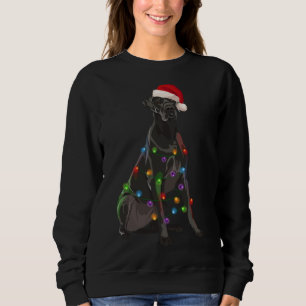 Great Dane Christmas Lights Xmas Dog Lover Santa H Sweatshirt