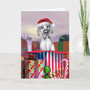 Great Dane Christmas Surprise Blue UC Holiday Card