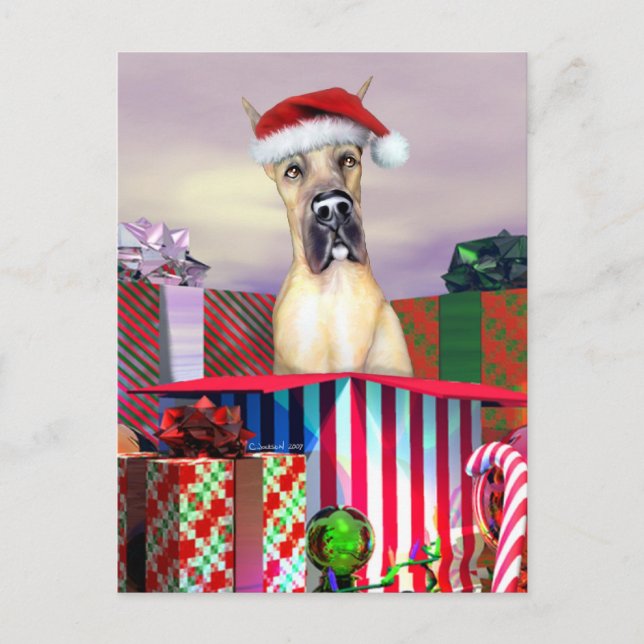 Great Dane Christmas Surprise Fawn Holiday Postcard (Front)