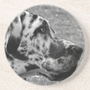 GREAT DANE COASTER