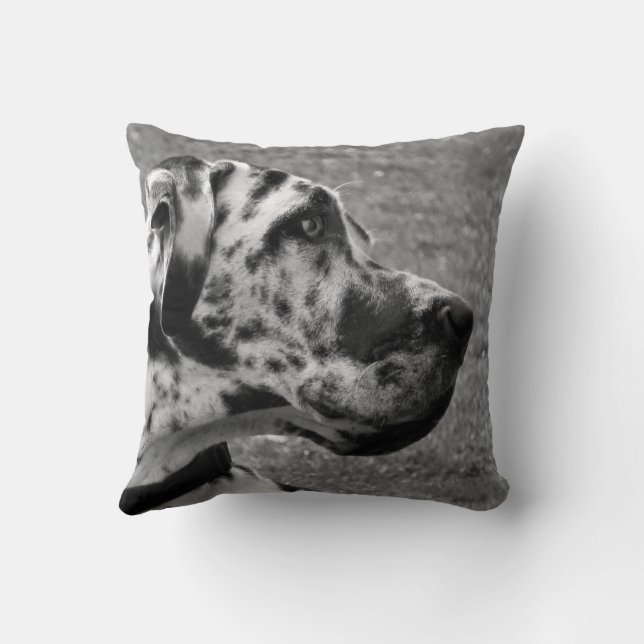 GREAT DANE CUSHION (Back)