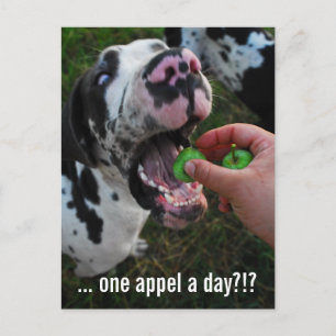 Great Dane Doctor  Postcard