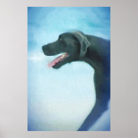 Great Dane Dog DOG BEACH