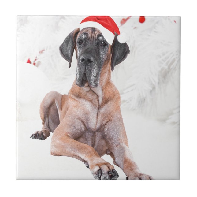 Great Dane Dog Hat Merry Christmas Tile (Front)