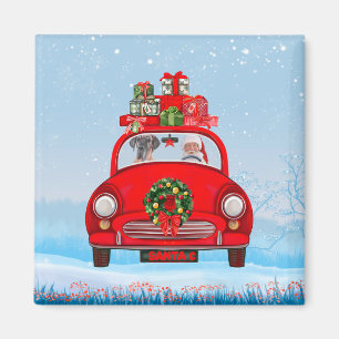 Great Dane Dog In Car With Santa Claus Magnet