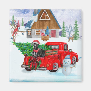 Great Dane Dog In Christmas Delivery Truck Snow Magnet