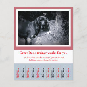 Great Dane Dog Trainer Flyer