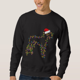 Great Dane Dog Xmas Lighting Santa Hat Great Dane Sweatshirt