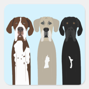 Great Dane Dogs Square Sticker