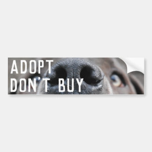 Great Dane Face Nose Bumper Sticker