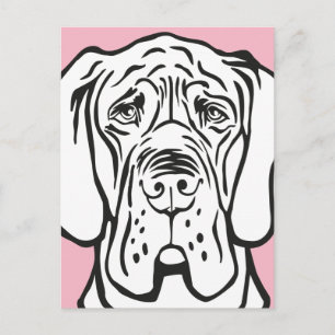 Great Dane Face Postcard