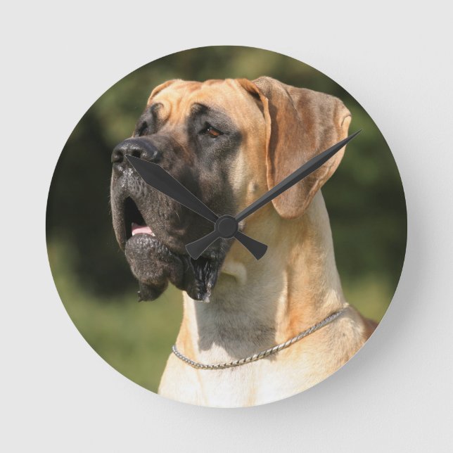 Great Dane - fawn / Deutsche Dogge - gelb Round Clock (Front)