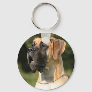 Great Dane - fawn v Deutsche Dogge - yellow Key Ring
