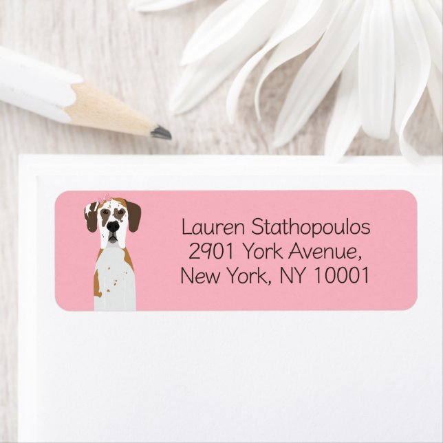 Great Dane Fawnequin Dog (Insitu)