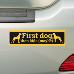 Great Dane First Dog Car  Bumper Sticker