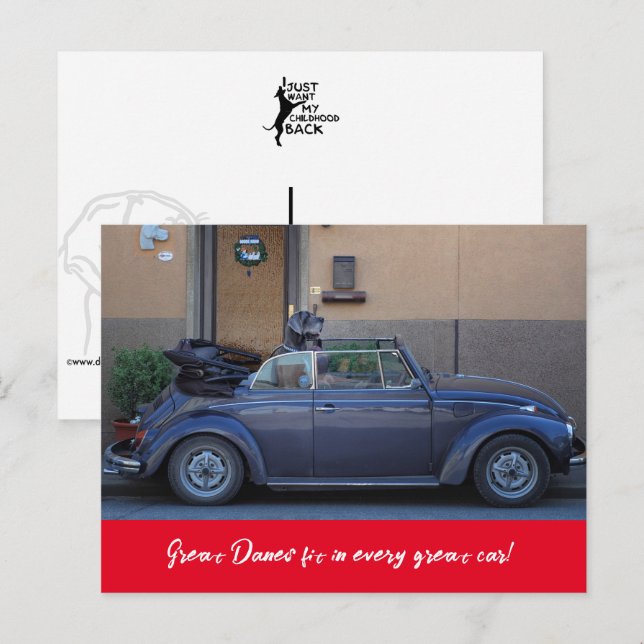 Great Dane fits  Postcard (Front/Back)
