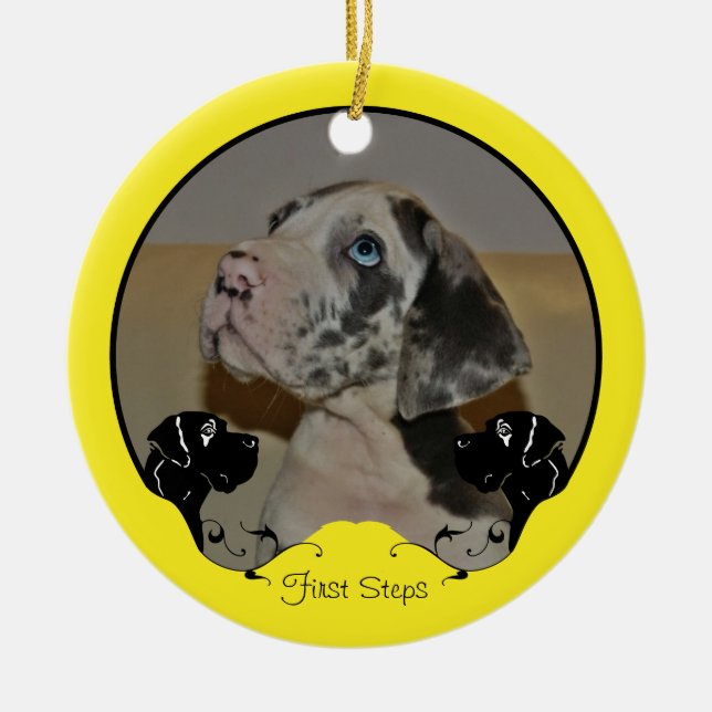 Great Dane Fotografic Ornament (Front)