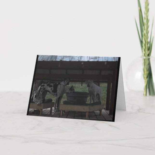 Great Dane Halloween Card (Front)